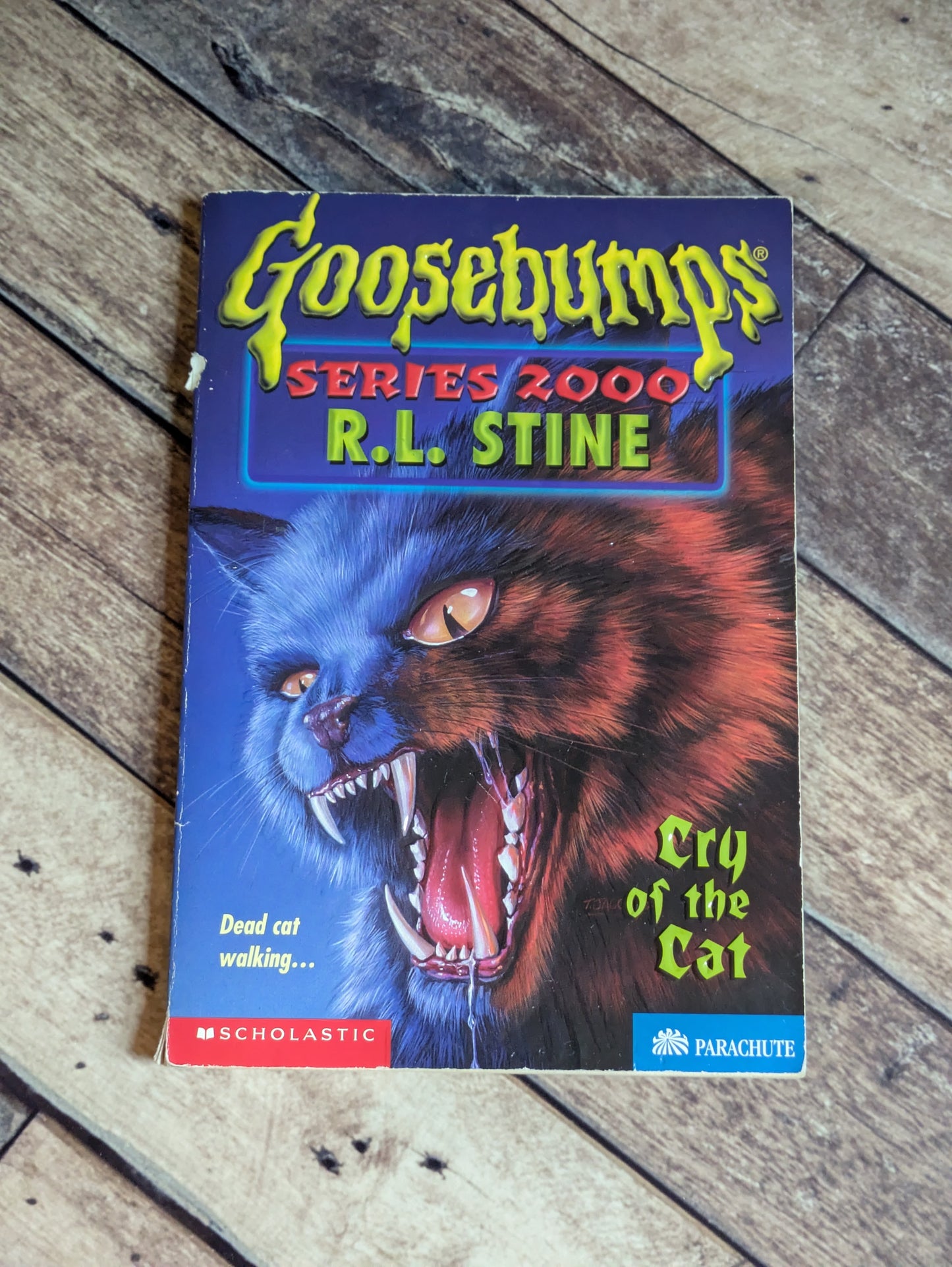 Cry of the Cat (Goosebumps 2000 #1) by R.L. Stine - Vintage Paperback