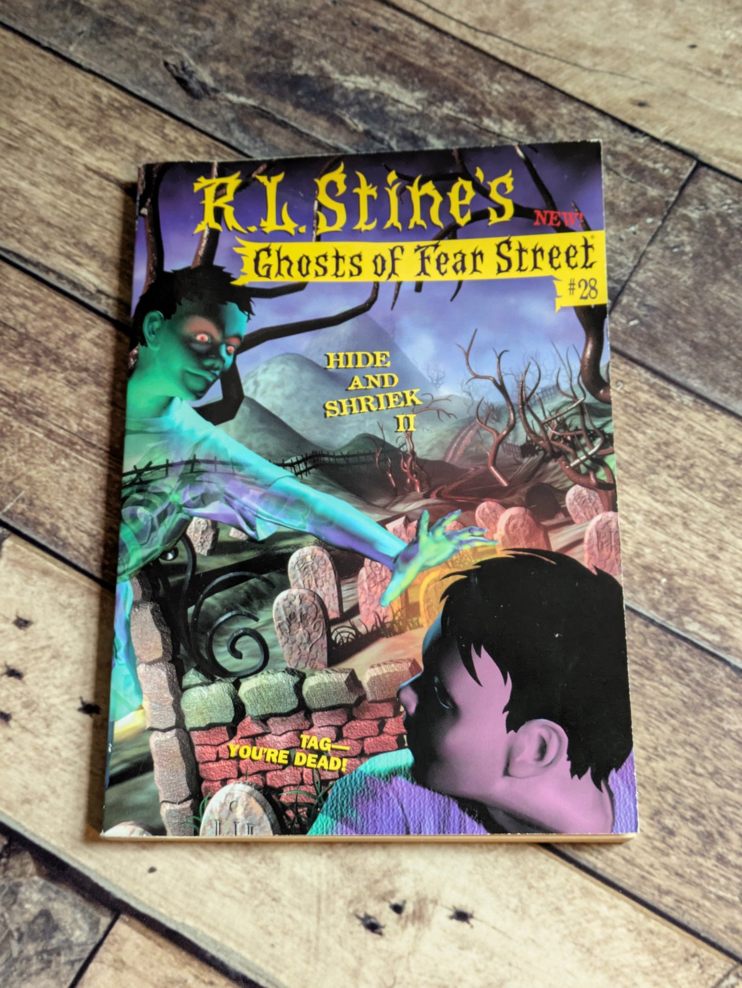 Hide and Shriek II (Ghosts of Fear Street #28) by R.L. Stine, Emily James - Vintage Paperback