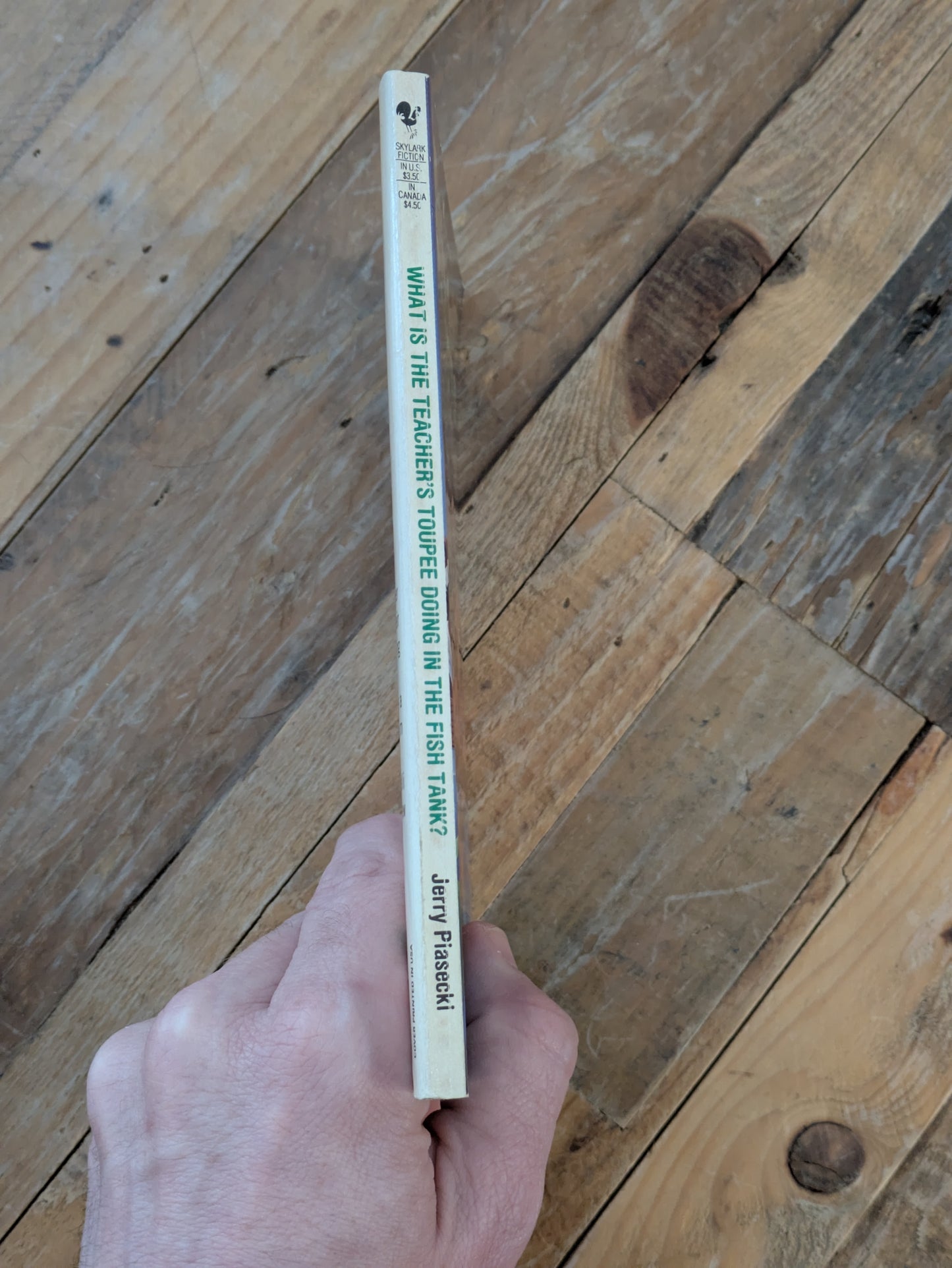 What Is the Teacher's Toupee Doing in the Fish Tank? (Vintage Paperback) by Jerry Piasecki