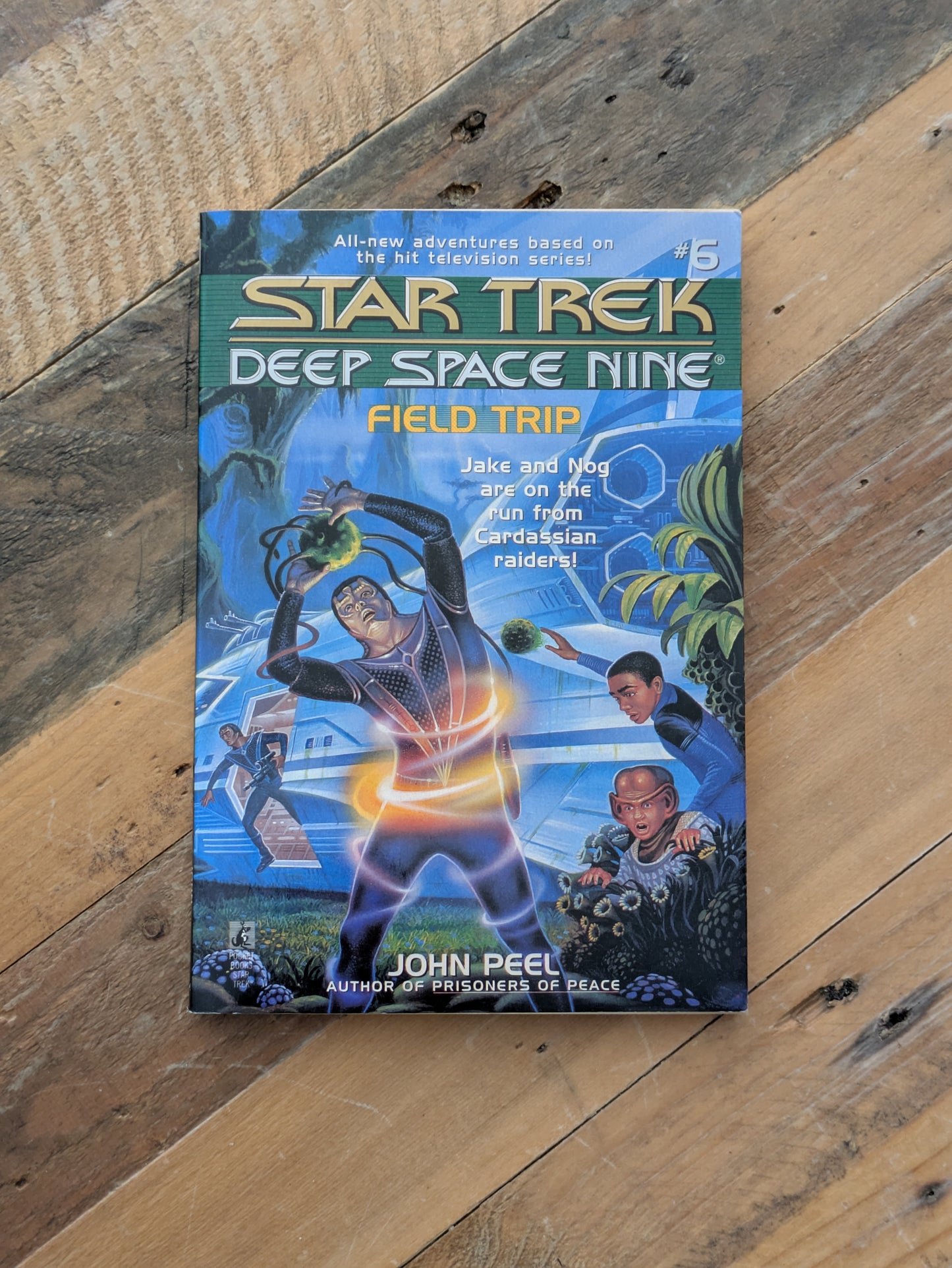 Field Trip (Star Trek: Deep Space Nine #6) by John Peel - Vintage Paperback