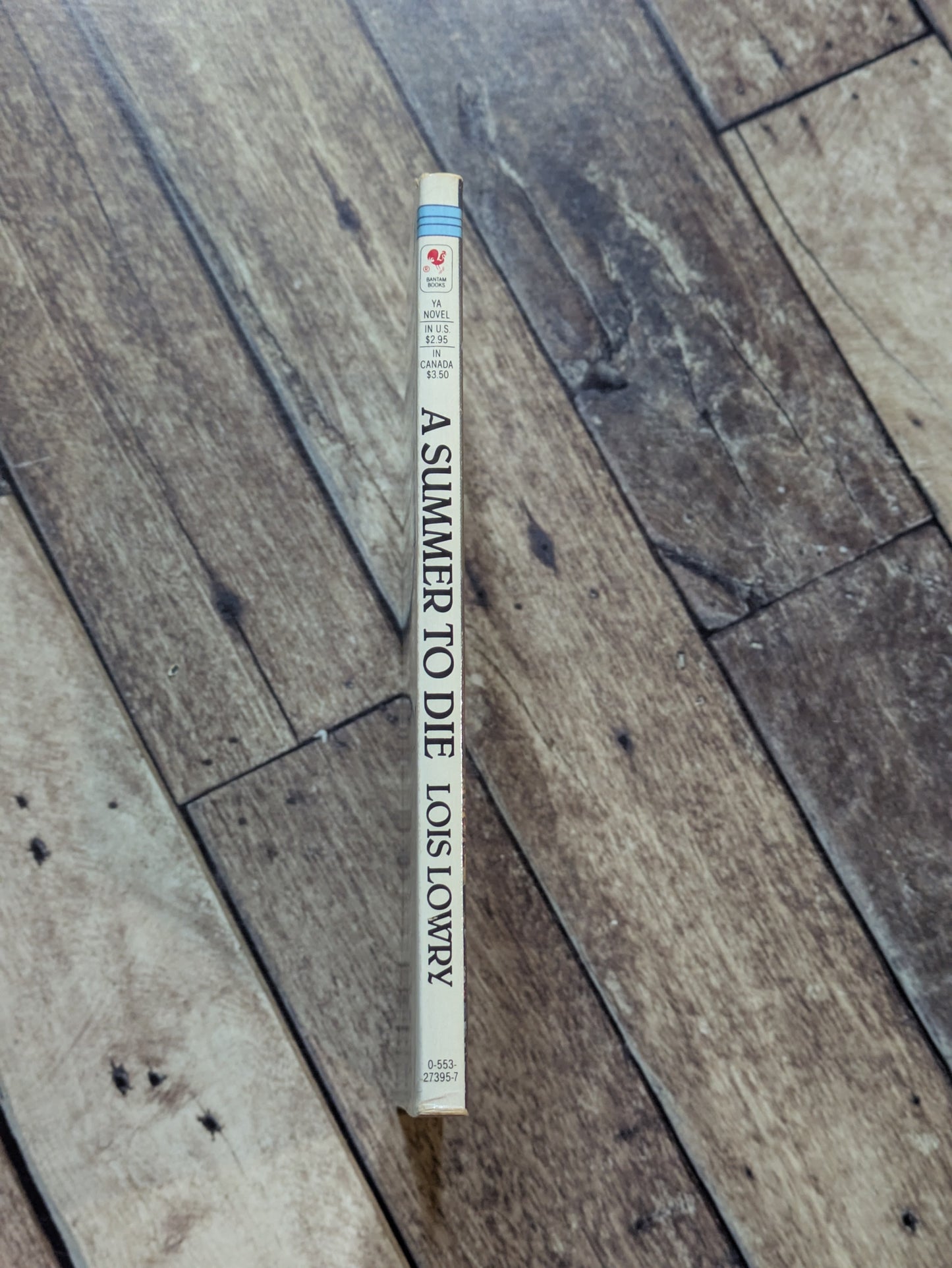 A Summer to Die (Vintage Paperback) by Lois Lowry