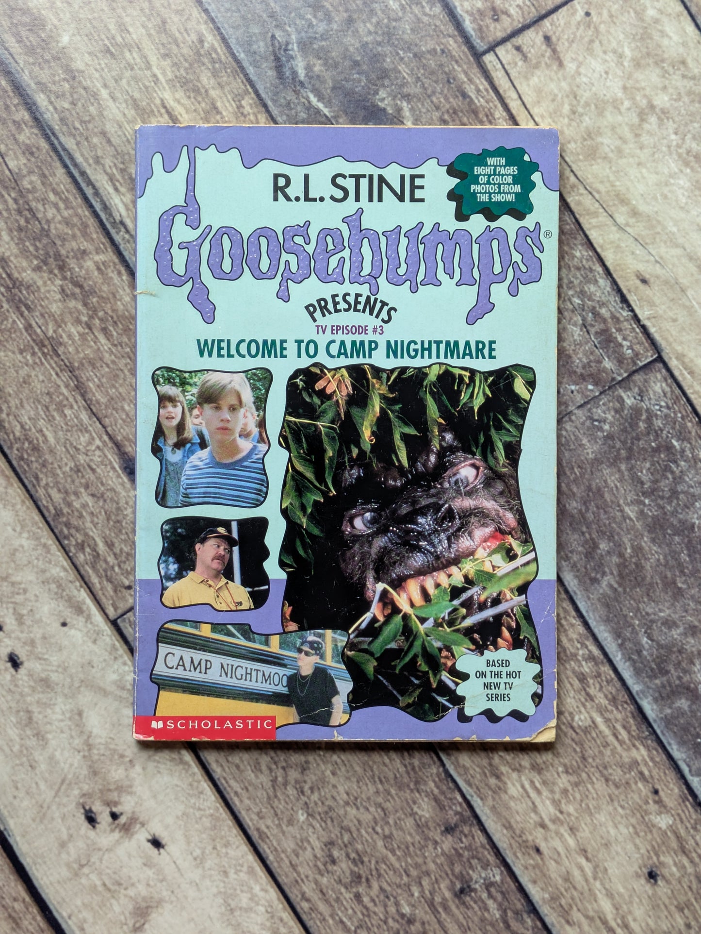 Welcome to Camp Nightmare (Goosebumps Presents #3) by Megan Stine, Jeff Cohen , R.L. Stine