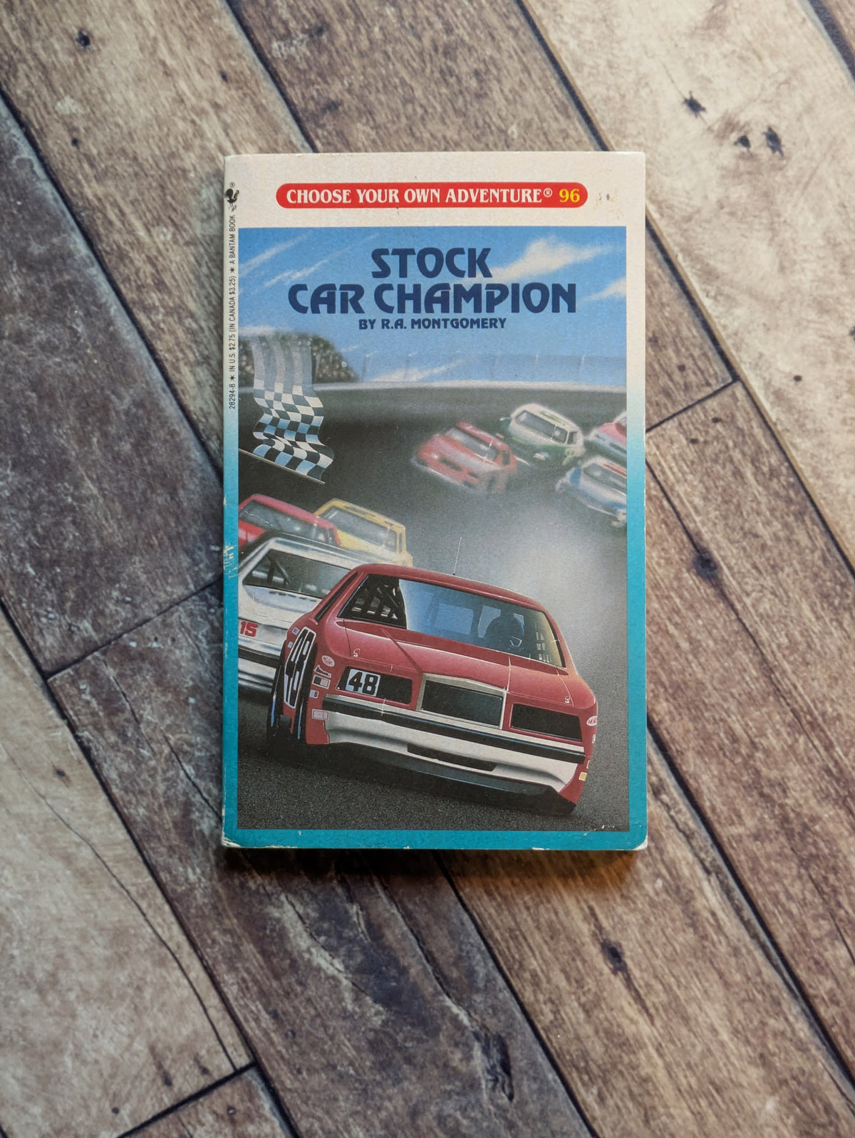 Stock Car Champion (Choose Your Own Adventure #96) by R.A. Montgomery - Vintage Paperback