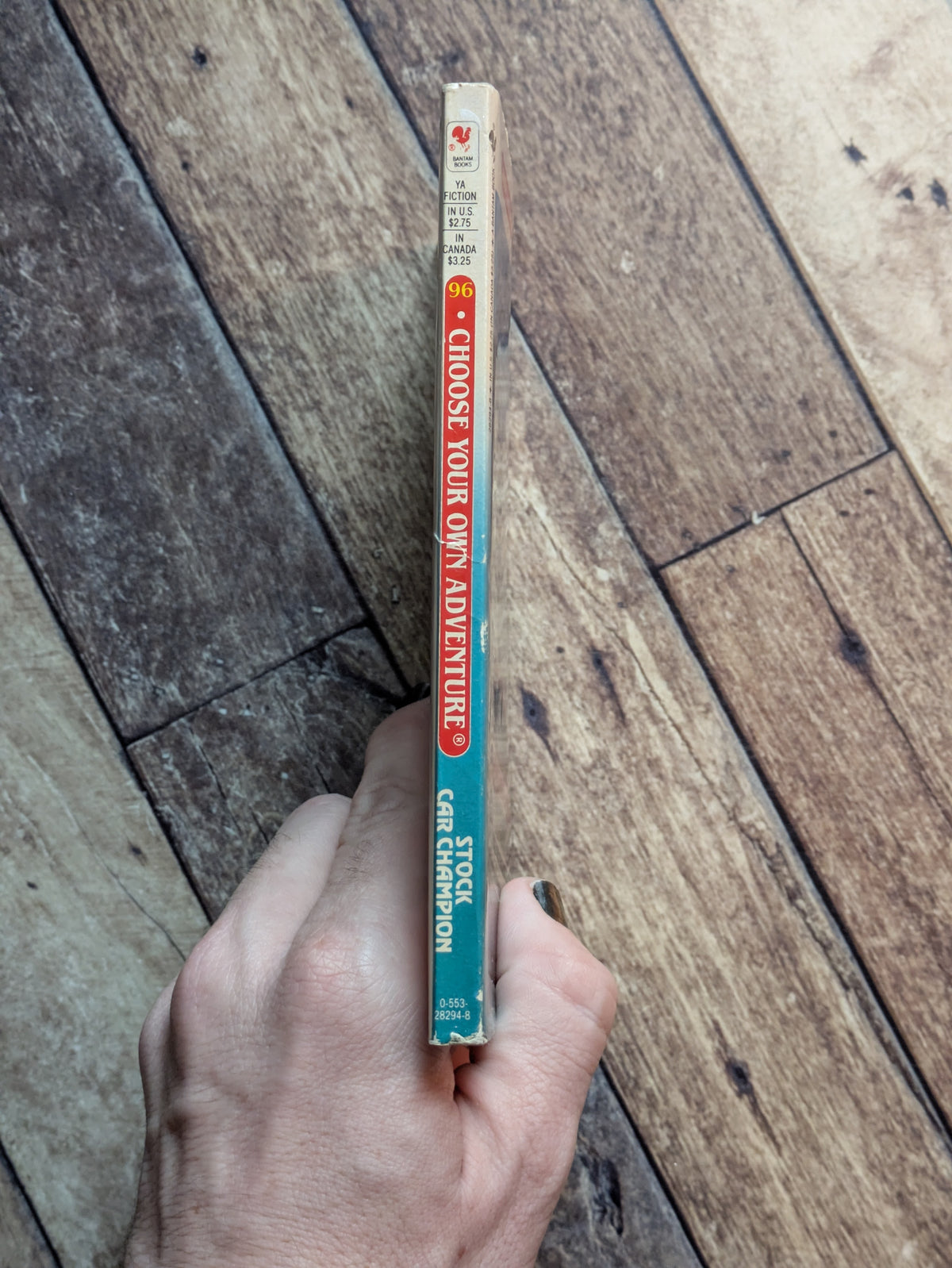 Stock Car Champion (Choose Your Own Adventure #96) by R.A. Montgomery - Vintage Paperback