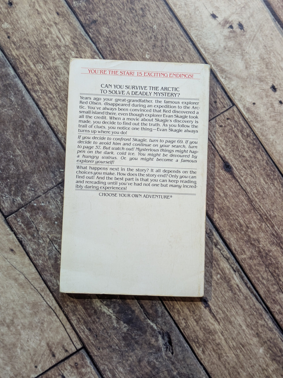 Track of the Bear (Choose Your Own Adventure #83) by R.A. Montgomery - Vintage Paperback