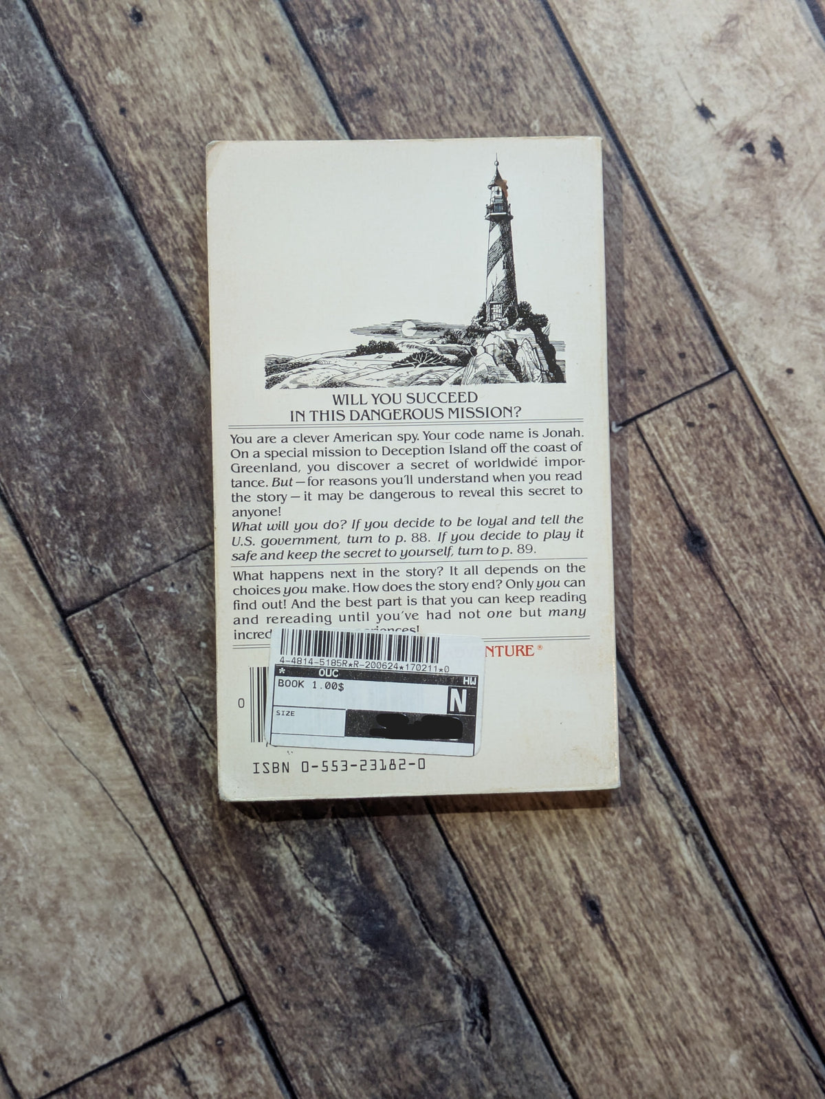 Skateboard Champion (Choose Your Own Adventure #112) by Edward Packard - Vintage Paperback