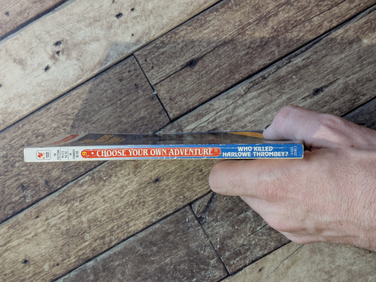 Perfect Planet, The (Choose Your Own Adventure #80) by Edward Packard - Vintage Paperback