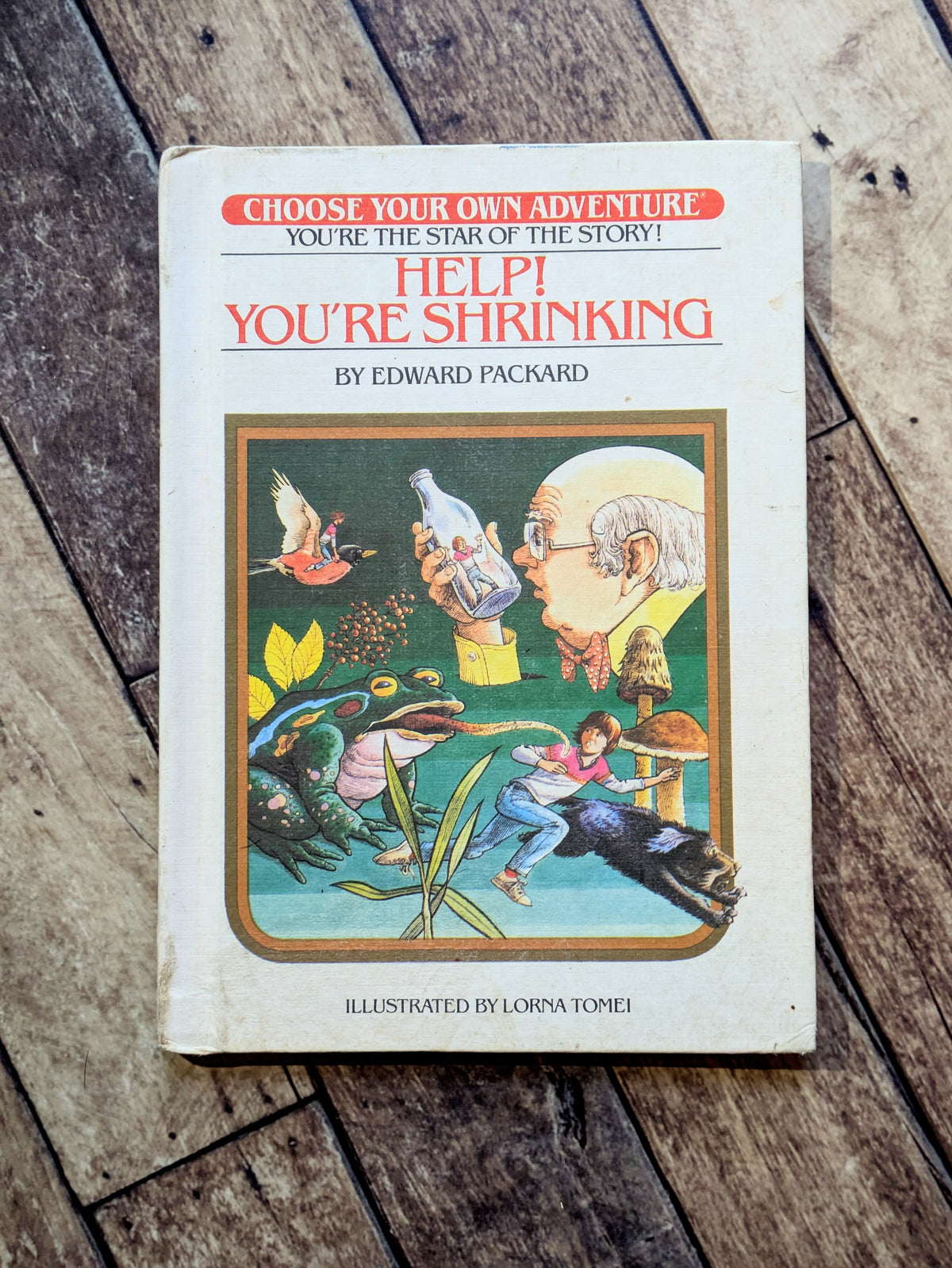 Help! You're Shrinking (Choose Your Own Adventure: Young Readers #7) by Edward Packard, Lorna Tomei (Illustrator)