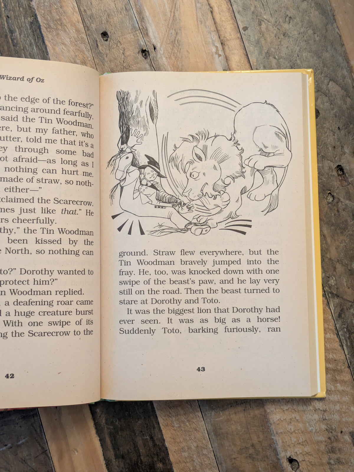 Wizard of Oz, The (Illustrated Cassic Collection) by Ronne Randall - Hardcover