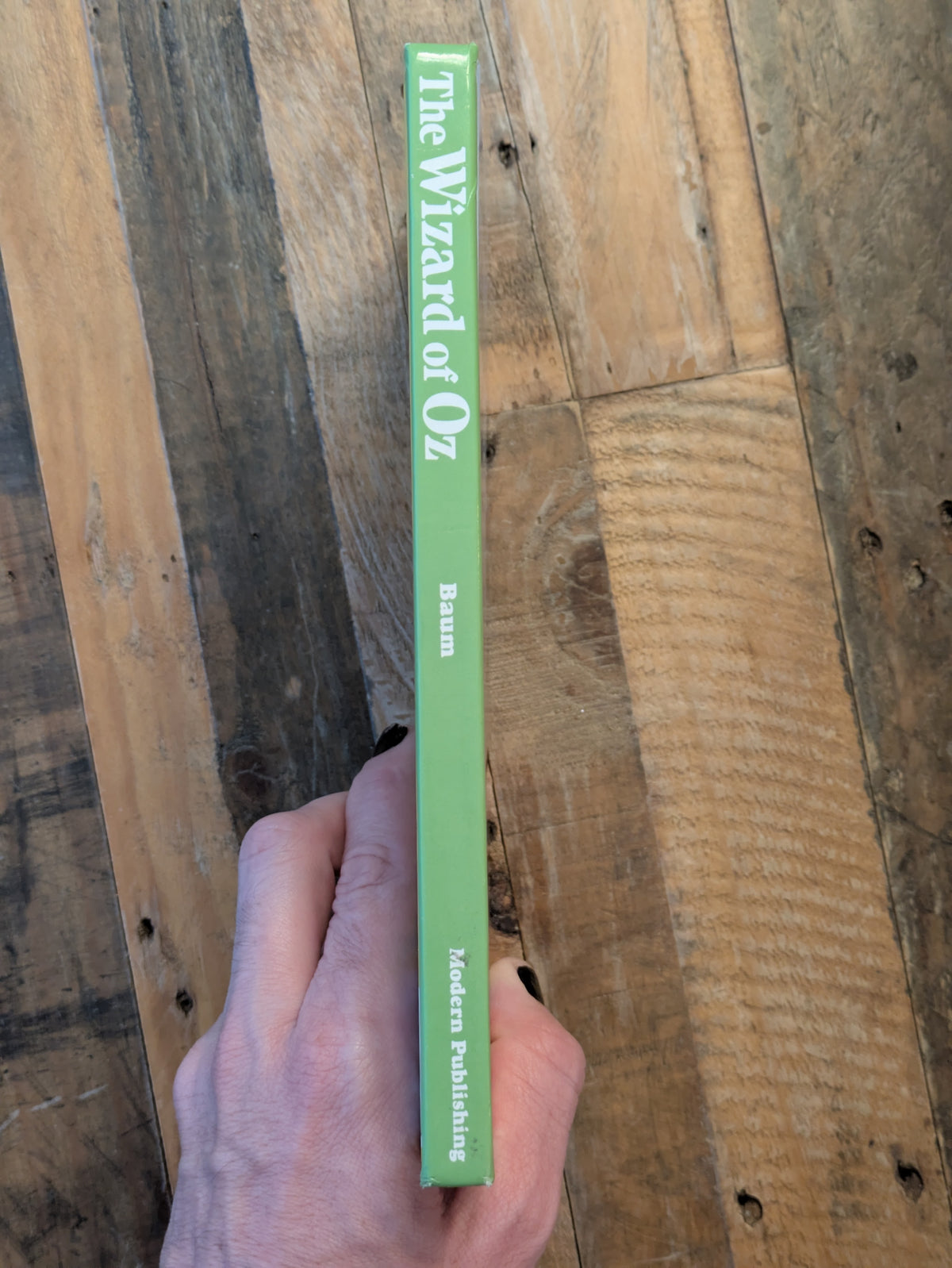 Wizard of Oz, The (Illustrated Cassic Collection) by Ronne Randall - Hardcover