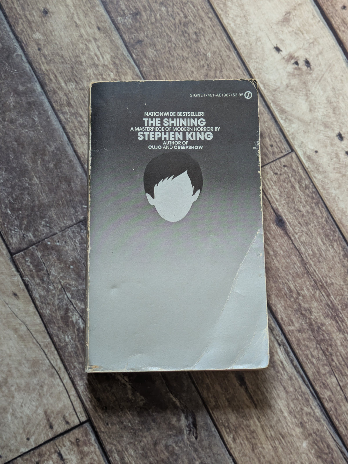 Shining, The (Vintage Paperback) by Stephen King