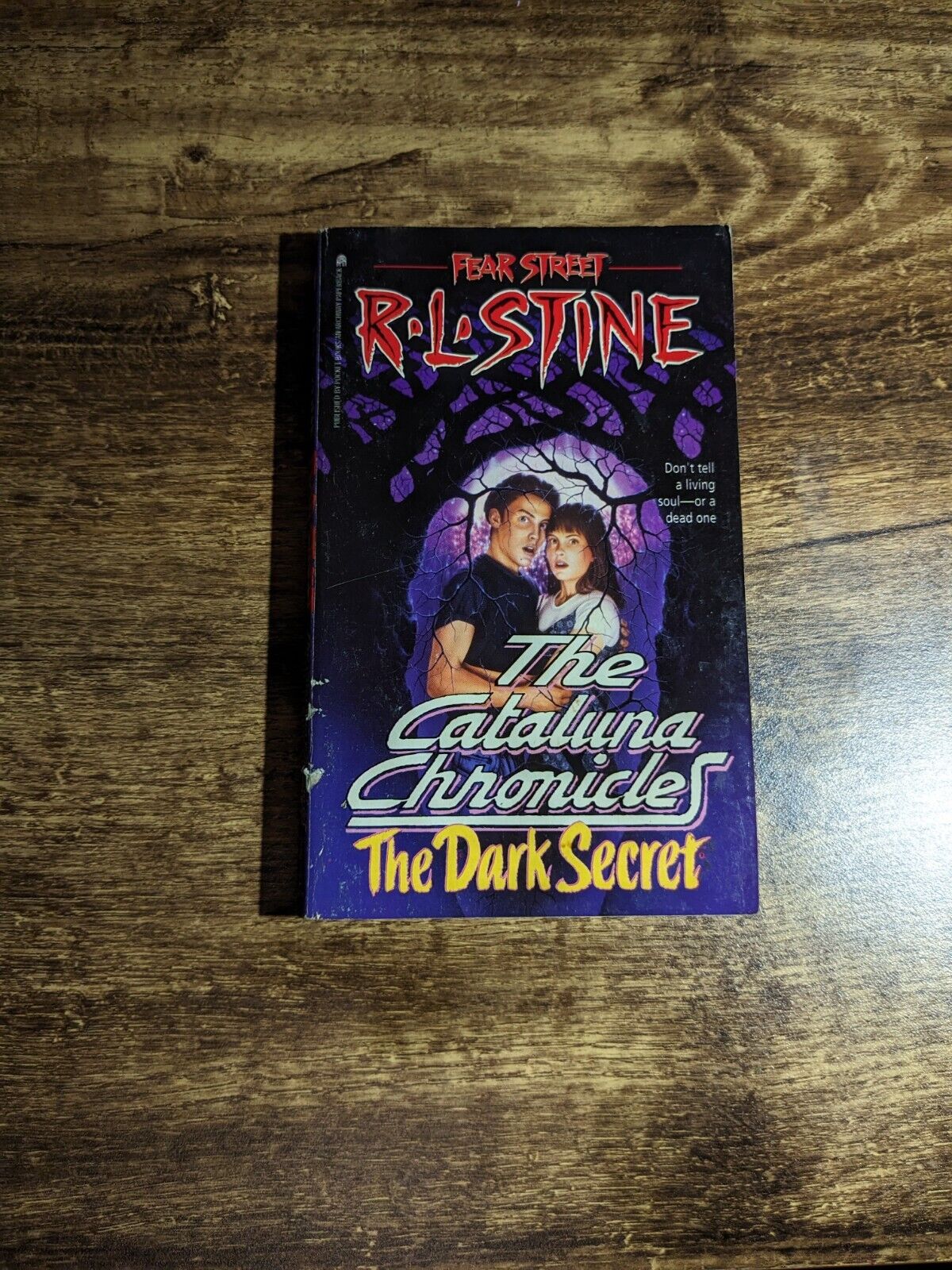 Dark Secret, The (Fear Street: Cataluna Chronicles) by R.L. Stine - Vintage Paperback