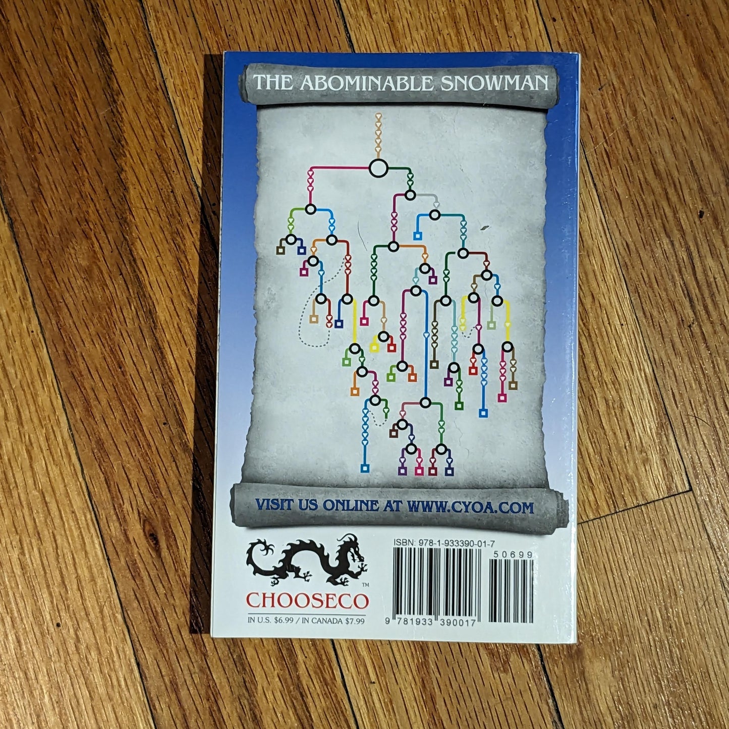 Abominable Snowman, The (Choose Your Own Adventure #1) by R. A. Montgomery - Asylum Books