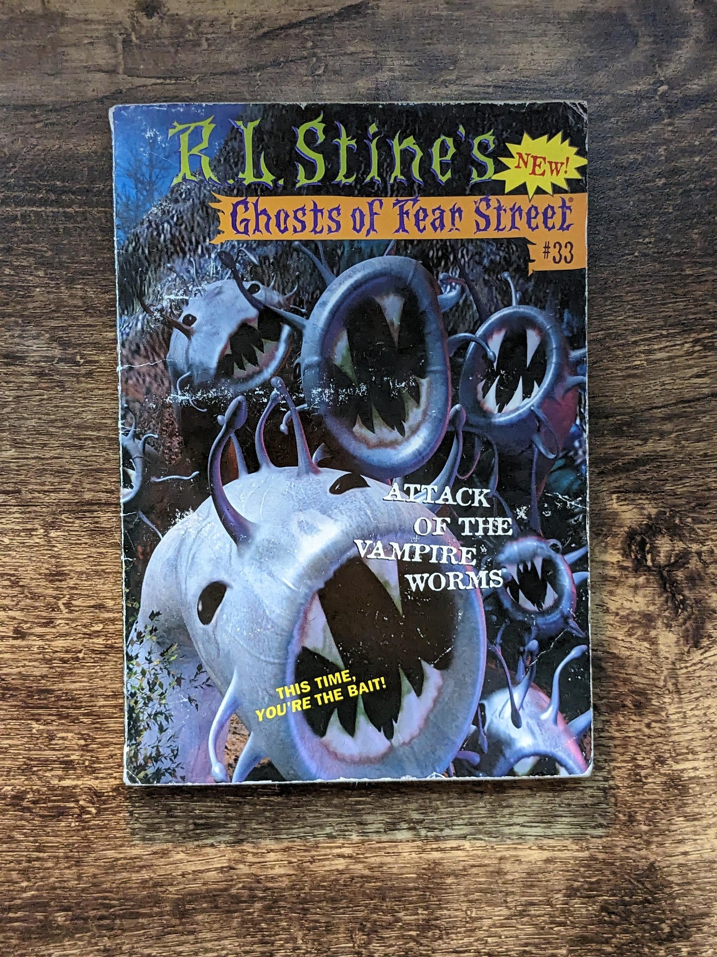 Attack of the Vampire Worms (Ghosts of Fear Street #33) R.L. Stine - Asylum Books