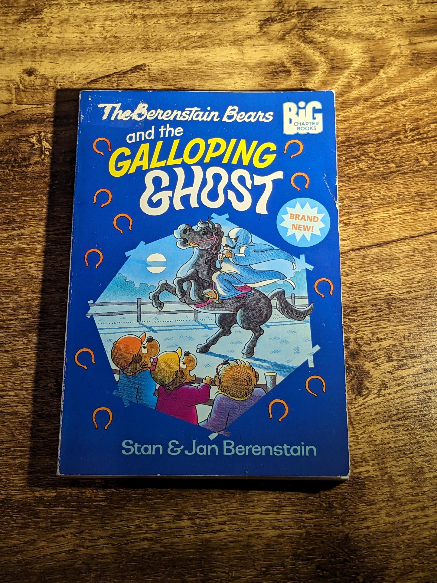BERENSTAIN Bears & the GALLOPING GHOST - Vintage Hardcover Halloween Book by Stan and Jan Berenstain, Spooky Picture Boo Gift Retro Artwork - Asylum Books