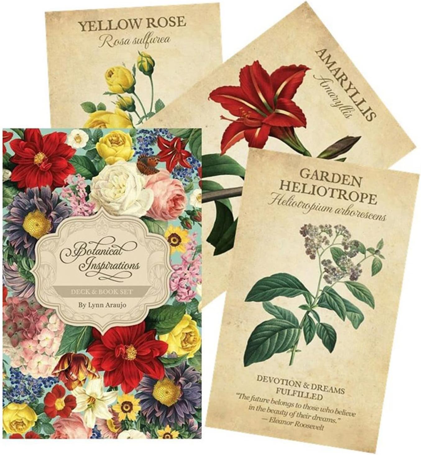 BOTANICAL INSPIRATIONS TAROT Deck - Beautiful Floral Vintage Style Artwork Oracle Cards, Flower Images, Fortune Telling, Victorian Style - Asylum Books