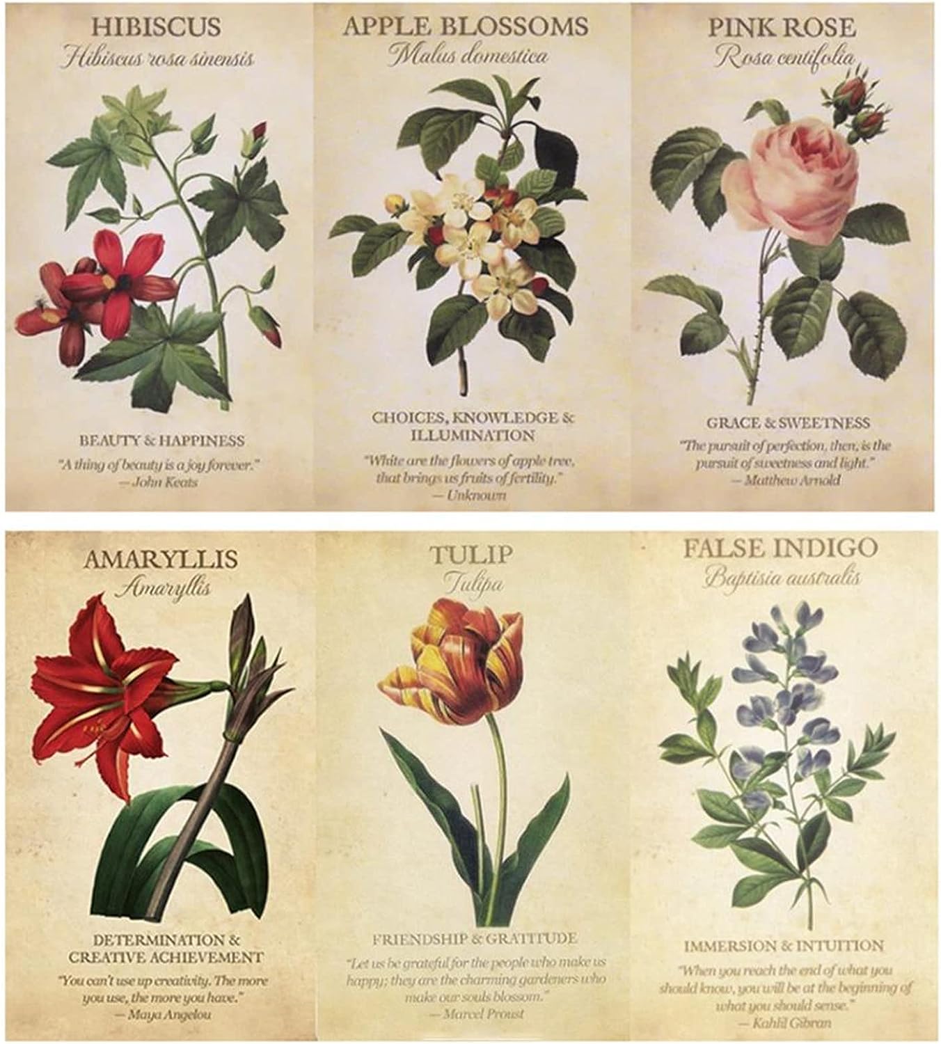 BOTANICAL INSPIRATIONS TAROT Deck - Beautiful Floral Vintage Style Artwork Oracle Cards, Flower Images, Fortune Telling, Victorian Style - Asylum Books