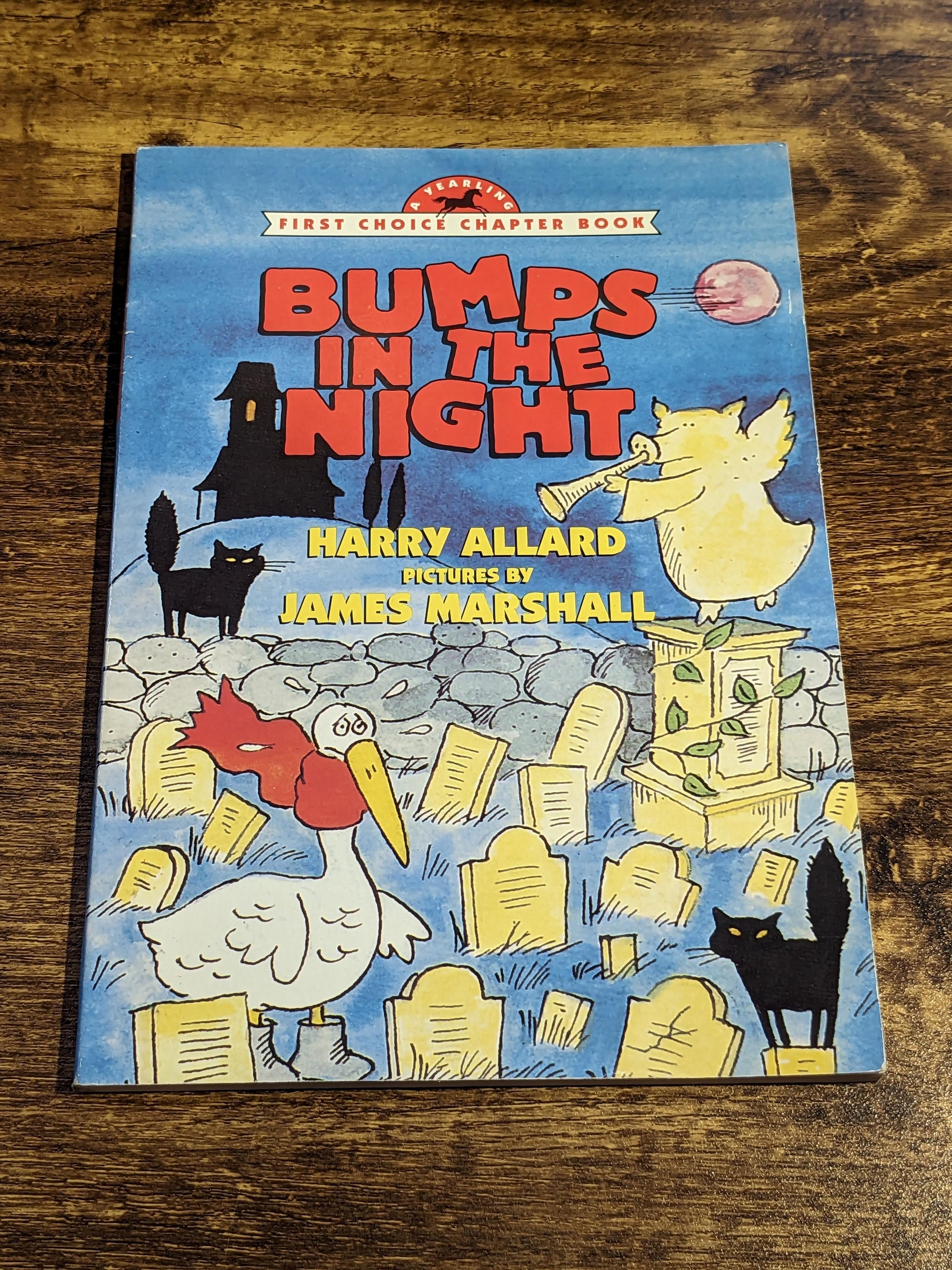 Bumps in the Night (First Choice Chapter Book) - Vintage Children's Paperback by Harry Allard - Asylum Books