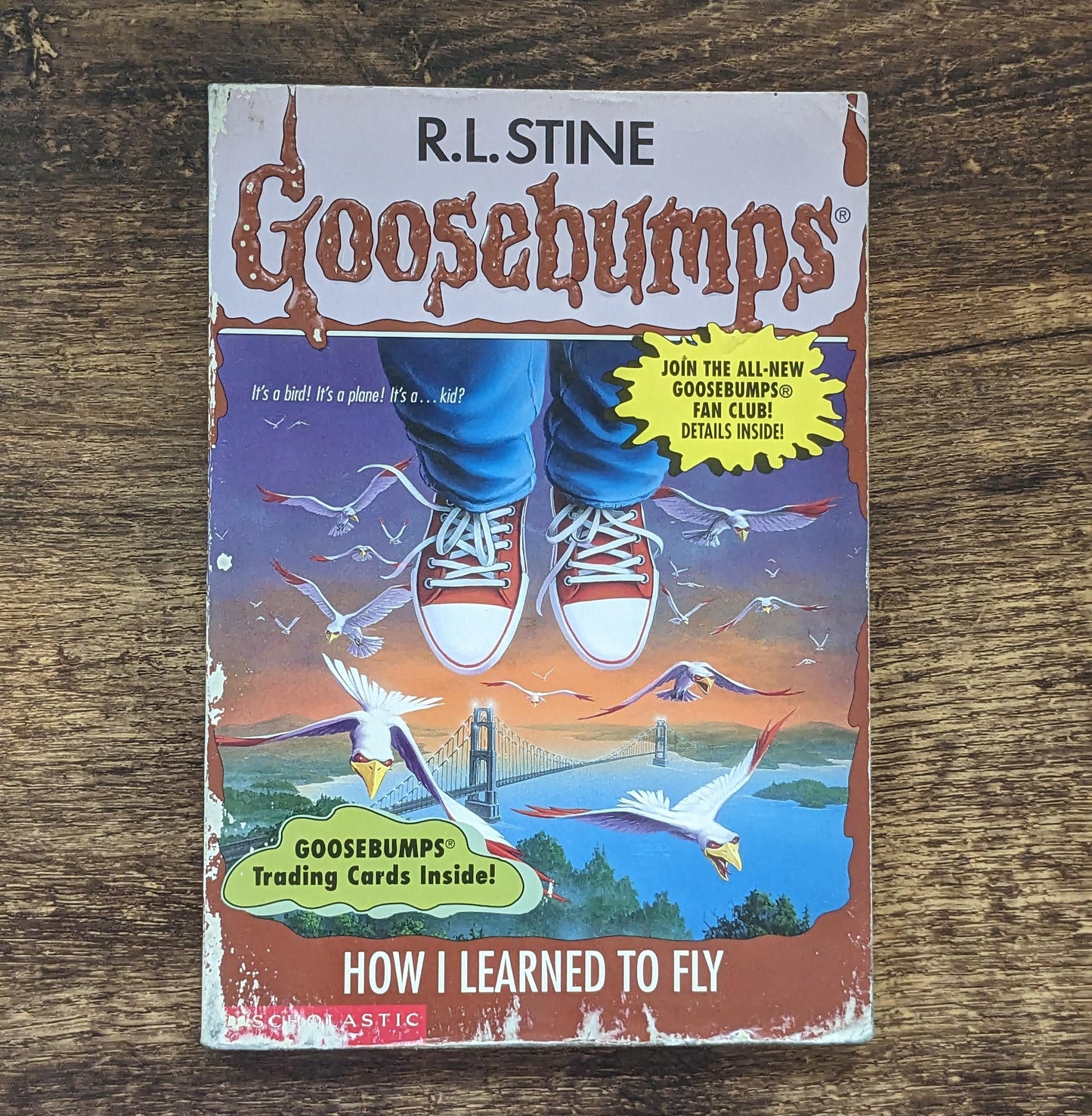 How I Learned to Fly (Goosebumps #52) Rare Bookmark & Cards - R. L. Stine - Asylum Books