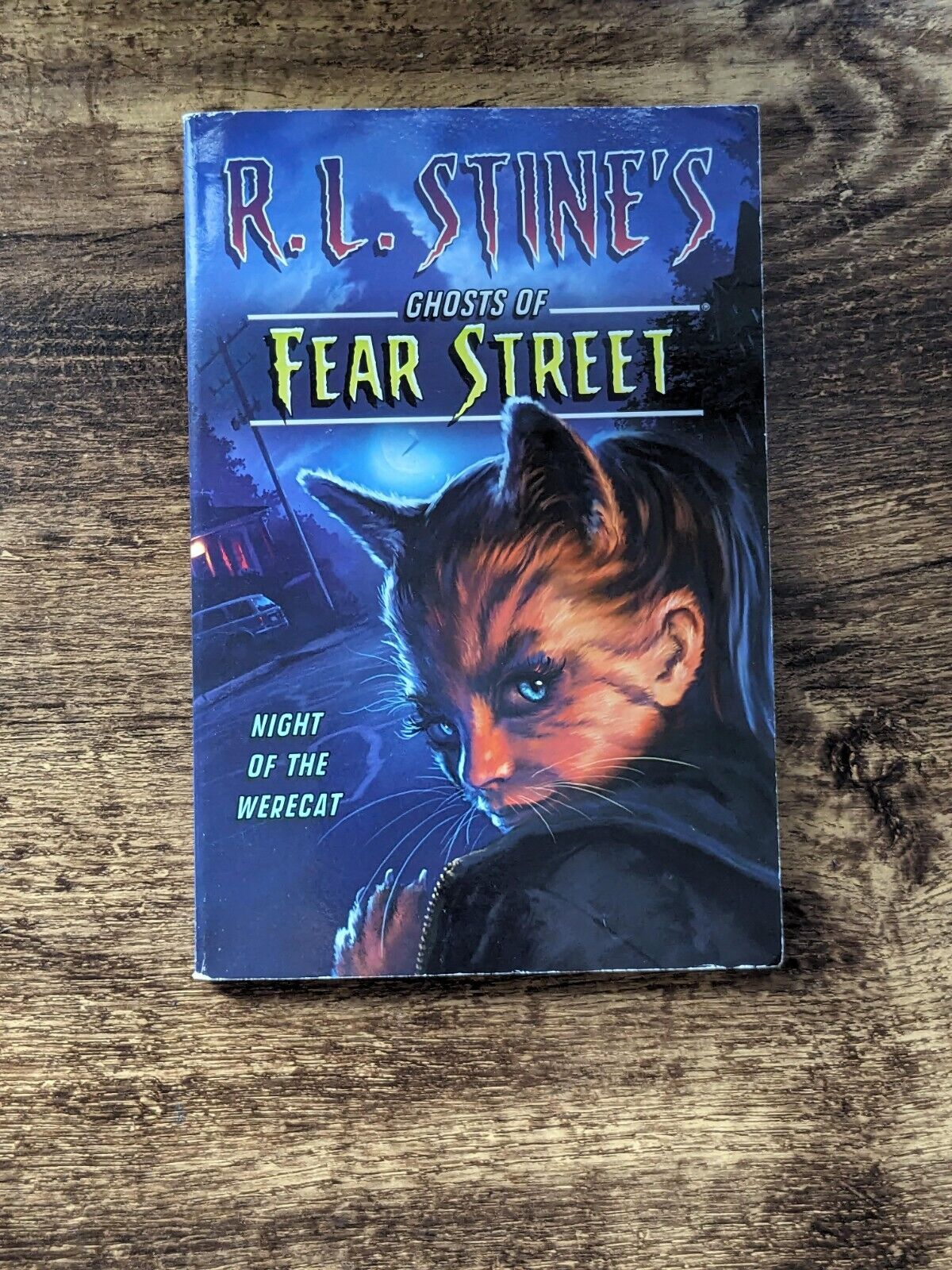 Night of the Werecat by R L Stine (Ghosts of Fear Street) - Asylum Books