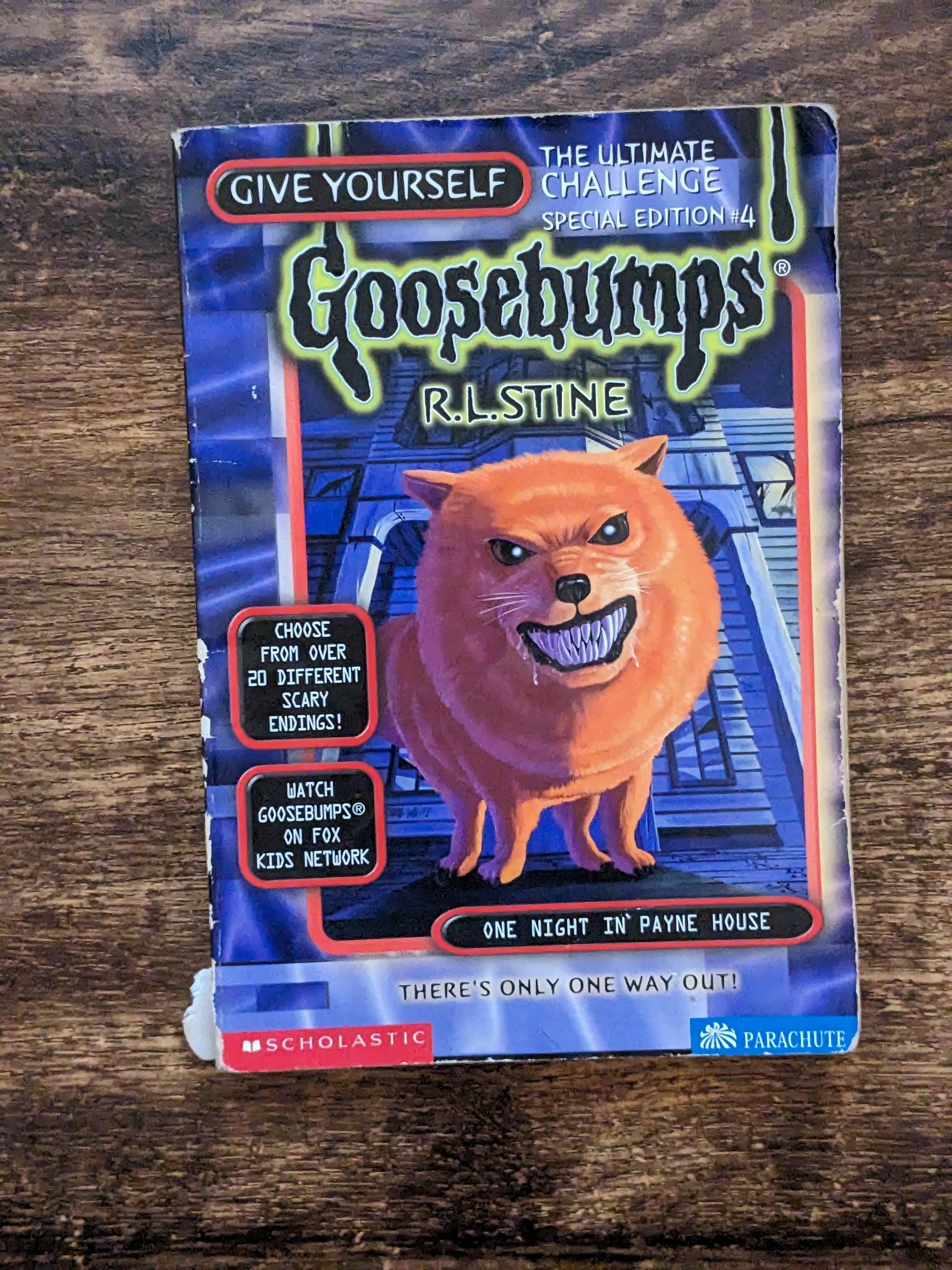 One Night in Payne House (Give Yourself Goosebumps Special Edition #4) R. L. Stine - Asylum Books